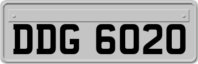 DDG6020