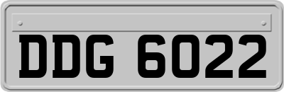 DDG6022
