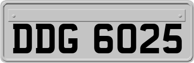 DDG6025
