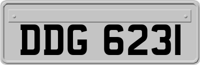 DDG6231