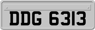 DDG6313