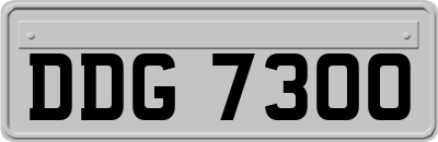 DDG7300