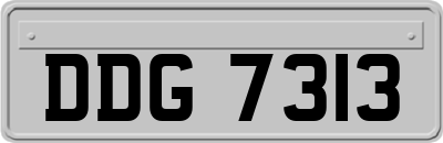 DDG7313