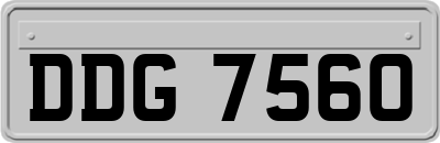 DDG7560
