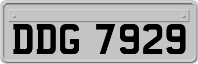 DDG7929