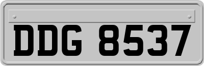DDG8537