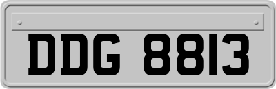 DDG8813