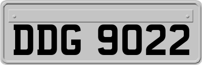 DDG9022