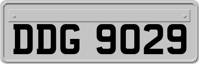 DDG9029