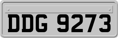 DDG9273