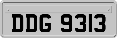 DDG9313