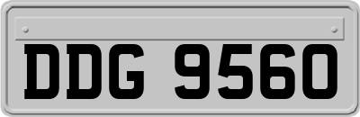 DDG9560