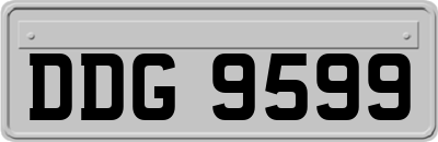 DDG9599
