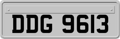 DDG9613