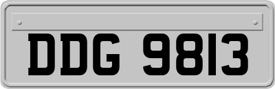 DDG9813