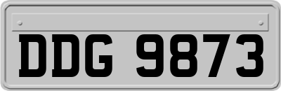 DDG9873