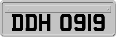 DDH0919