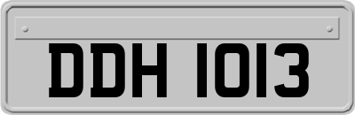 DDH1013