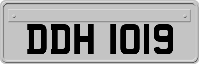 DDH1019