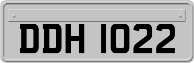 DDH1022