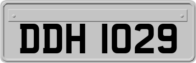 DDH1029