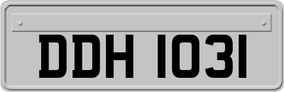 DDH1031