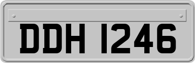 DDH1246