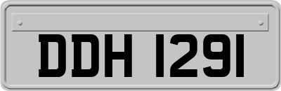 DDH1291