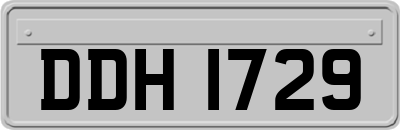 DDH1729