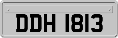 DDH1813