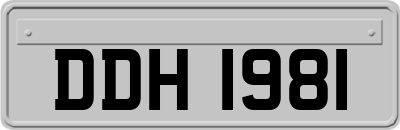 DDH1981