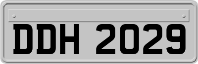 DDH2029