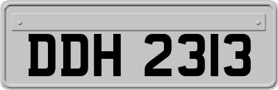 DDH2313