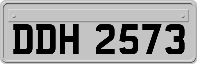 DDH2573