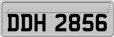 DDH2856