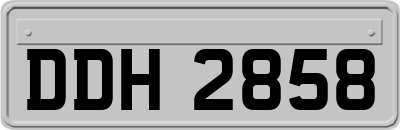 DDH2858