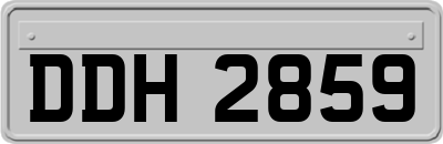 DDH2859