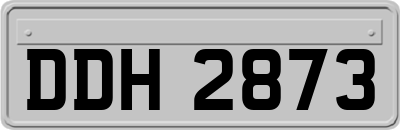 DDH2873