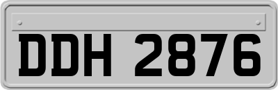 DDH2876