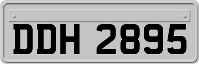 DDH2895
