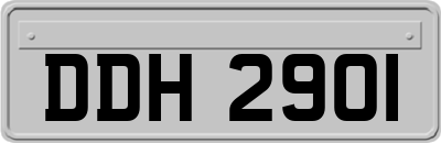 DDH2901