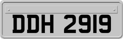 DDH2919