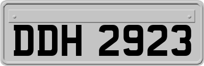 DDH2923