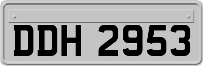 DDH2953