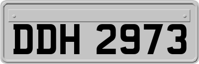 DDH2973