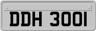 DDH3001