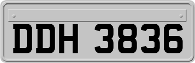 DDH3836