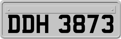 DDH3873