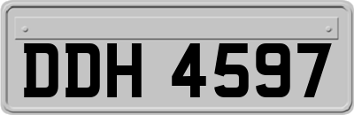 DDH4597