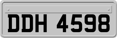 DDH4598